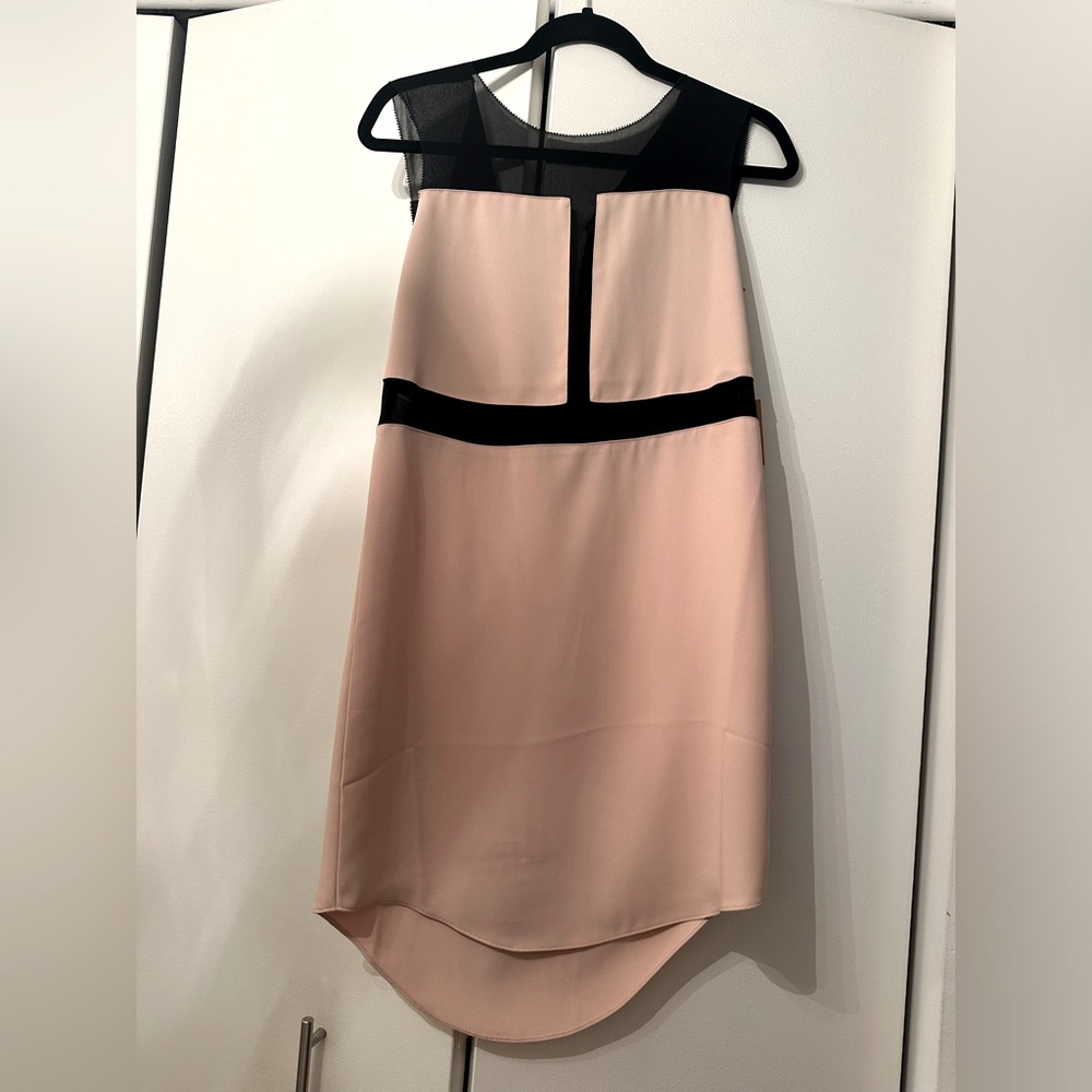 Brand New Blush Rachel Roy Dress